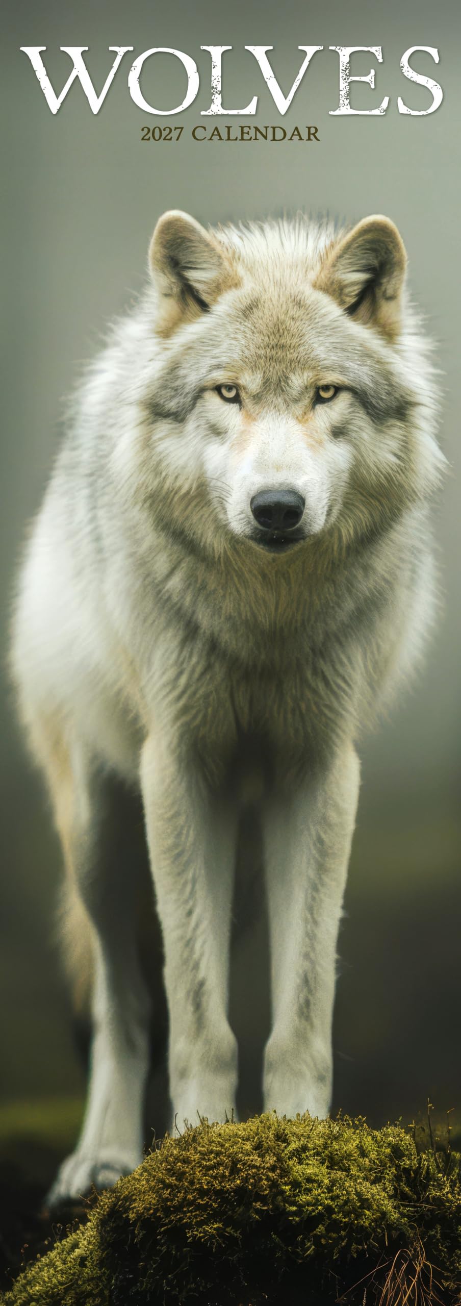 Wolves Slim 2027 Calendar | Slimline Wall Calendar | Animal Gift | Plastic Free Packaging | by Avonside Publishing