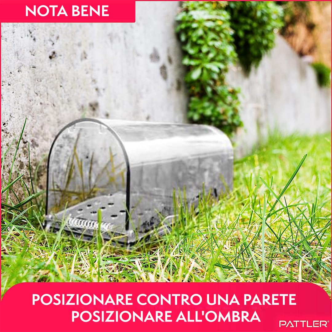 PATTLER® Trappola per Topi Vivi - Trappole per topi da Esterno e Interno - Trappole topi utilizzabili con esche per topi di vario genere - Trappola per Topi Grandi e Piccoli topi - Transparente 1 Pz