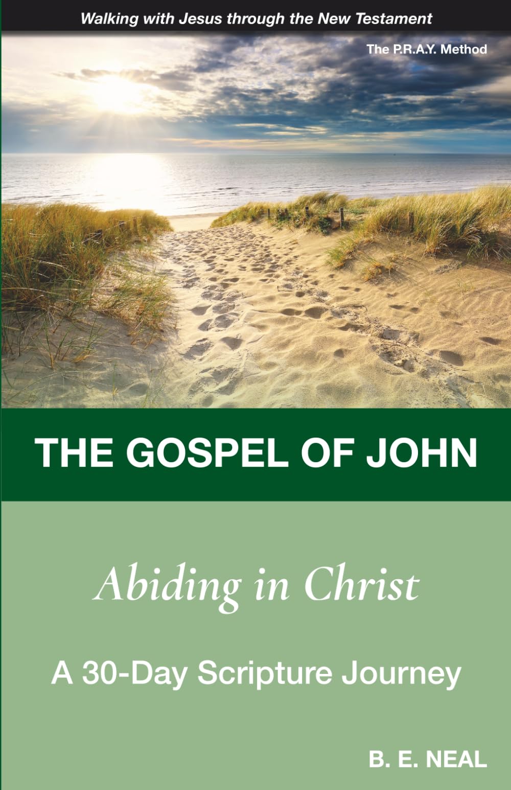 The Gospel of John - Abiding in Christ: A 30 Day Scripture Journey