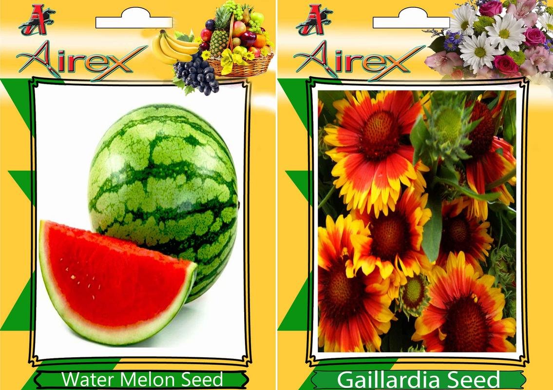 Fruit and Flower Combo Seed BY AIREX Water Melon and Gaillardia (Pack