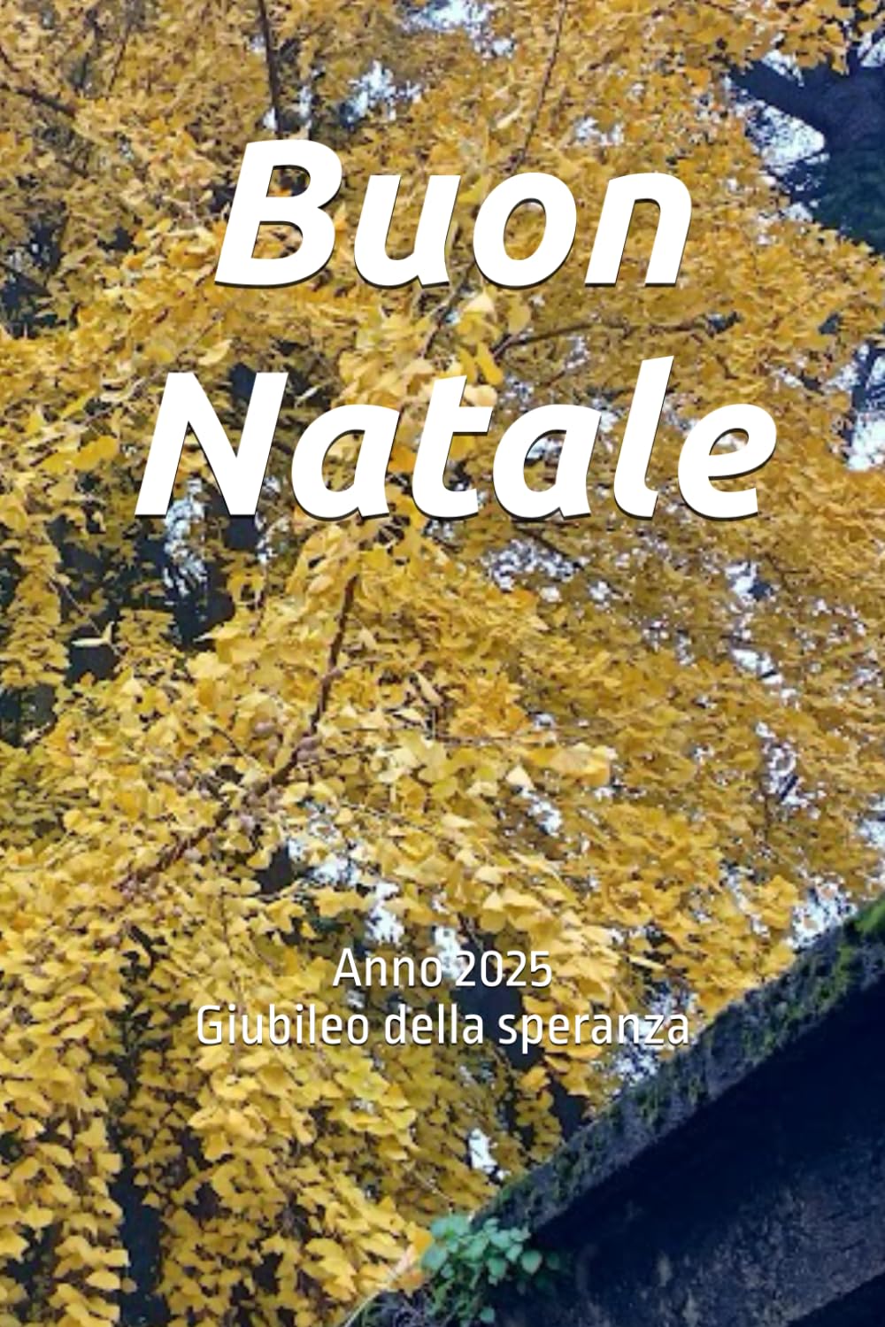Buon Natale: Anno 2025 Giubileo della speranza