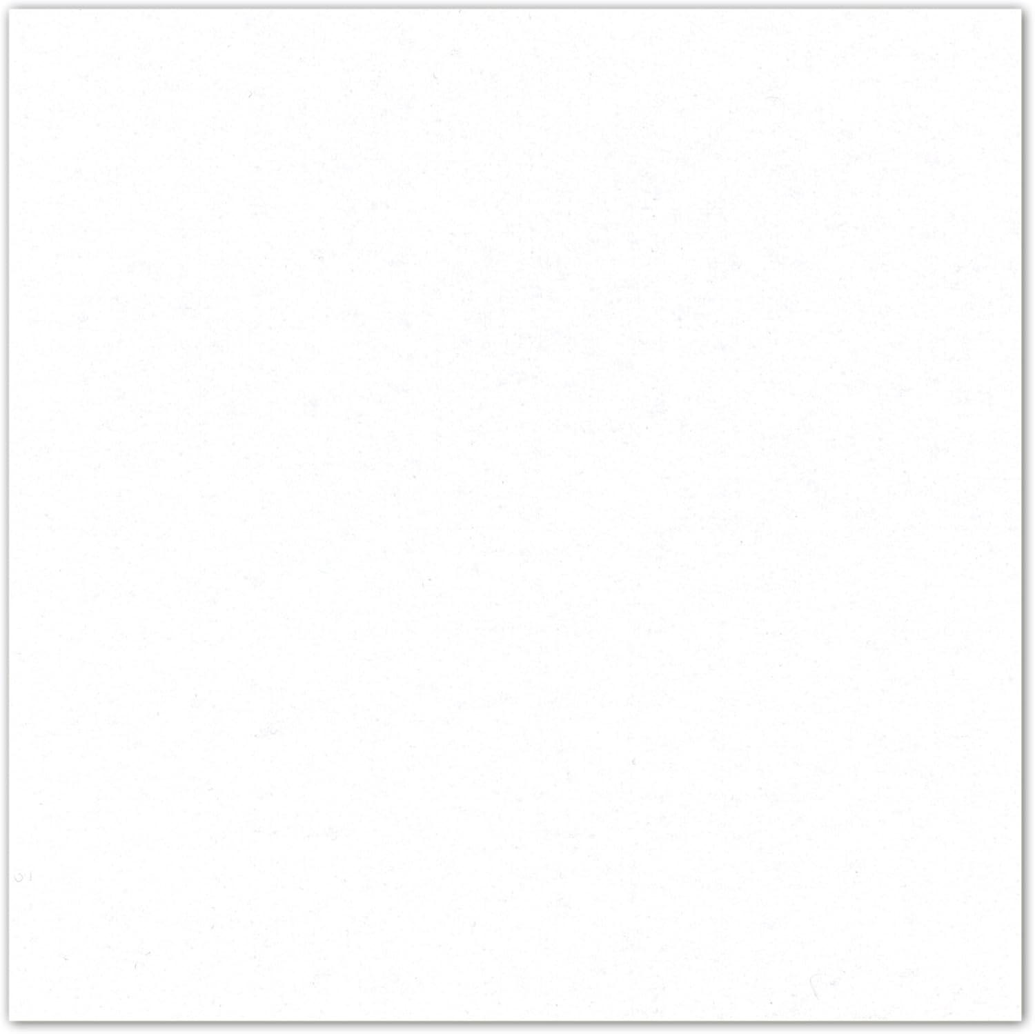 Sun felt Polyester Felt nyu-pantiron 2 mm Thickness 300 (W) White 900 mm Width x 10 m