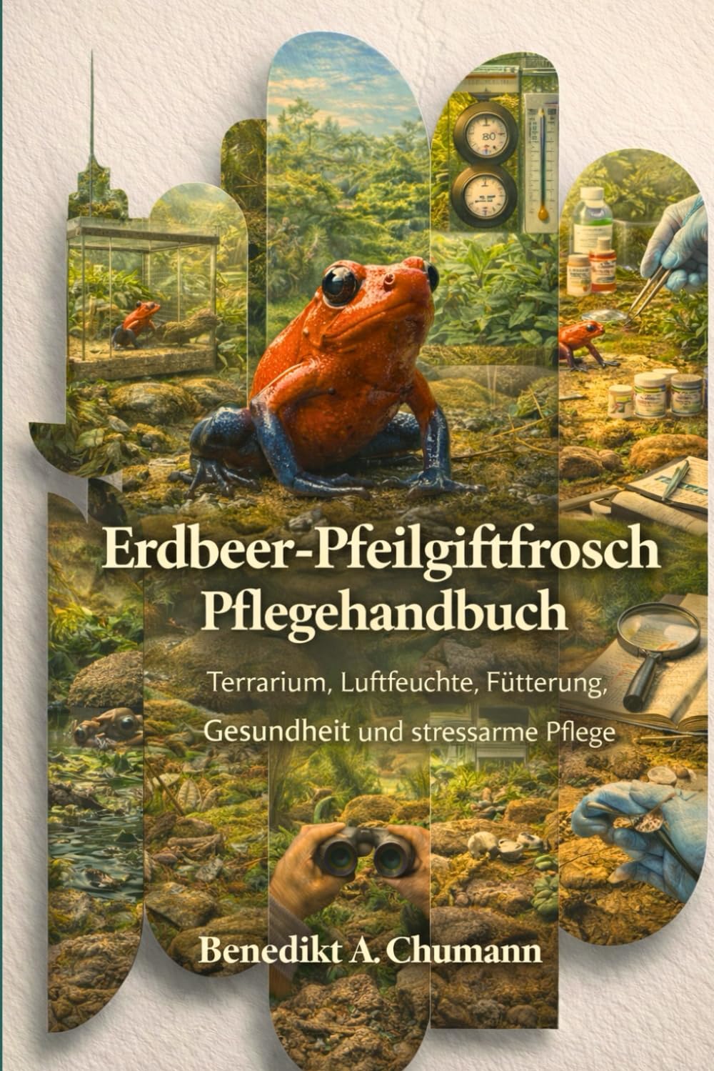 Erdbeer-Pfeilgiftfrosch Pflegehandbuch: Terrarium, Luftfeuchte, Fütterung, Gesundheit und stressarme Pflege