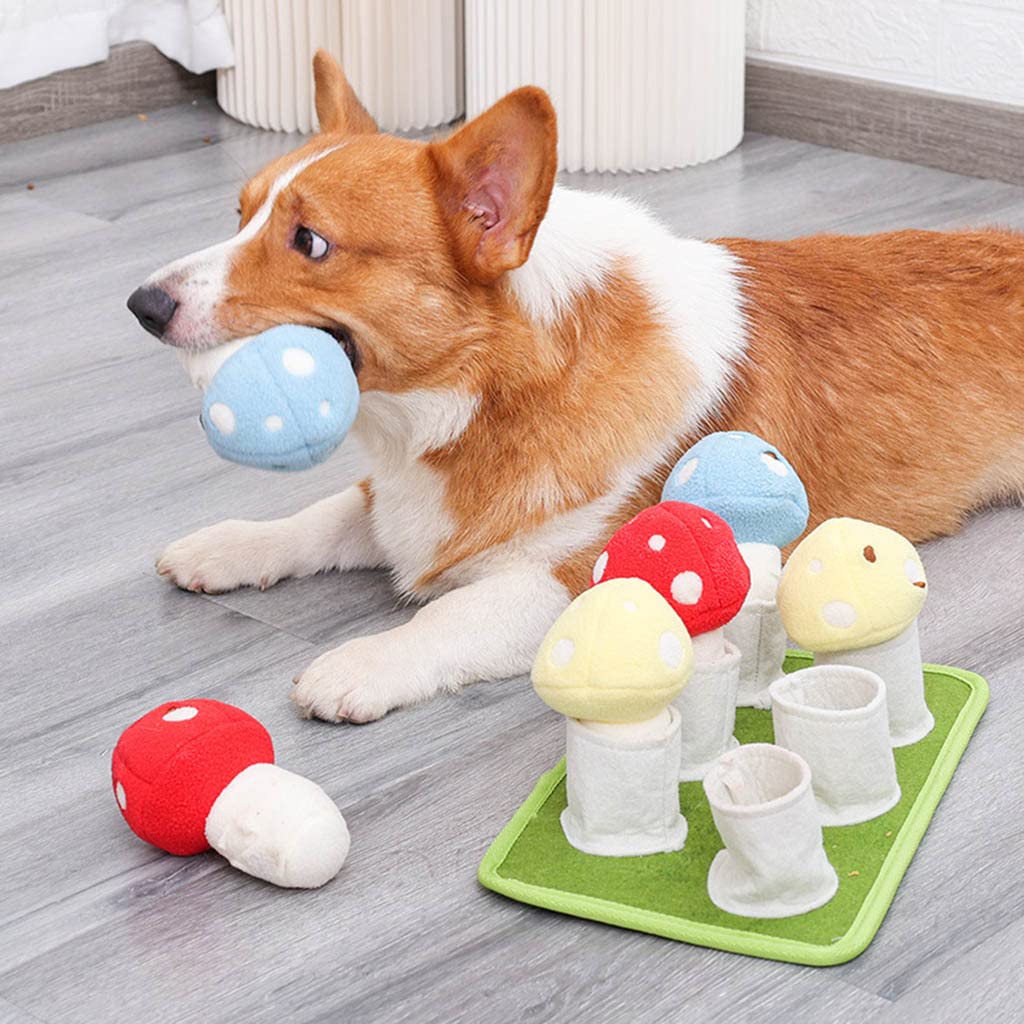 Cane Snuffle Mat Pet Puzzle Giocattoli Durevole Interattivo Mat Dog Arricchimento Giocattoli Pet