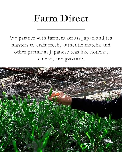 Miniatura 7 de Emptea Polvo de matcha Kagoshima Okumidori de grado ceremonial, primera cosecha molida a piedra, cultivar único Okumidori, orgánico japonés, polvo