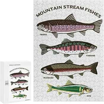 71Q4500eGmL._AC_UF350,