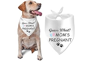 Guess What? Moms Pregnant Dog Bandana