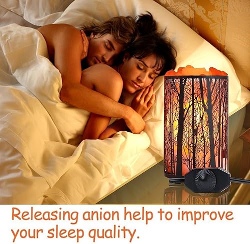 Miniatura 4 de Lámpara de sal del Himalaya, lámpara de roca de sal natural, luz nocturna en bosque, cesta de metal con interruptor de intensidad (4.1 x 6.5