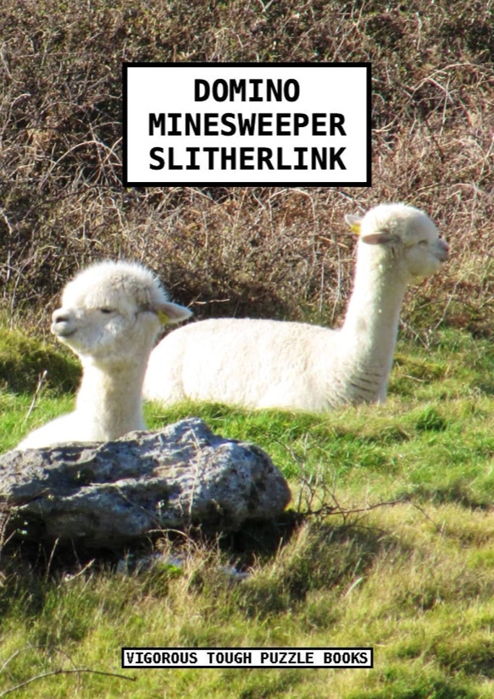 DOMINO MINESWEEPER SLITHERLINK VIGOROUS TOUGH PUZZLE BOOKS: With an impressive 360 Riddles for you to enjoy Solving, and to consider giving as a Gift, Solutions included.