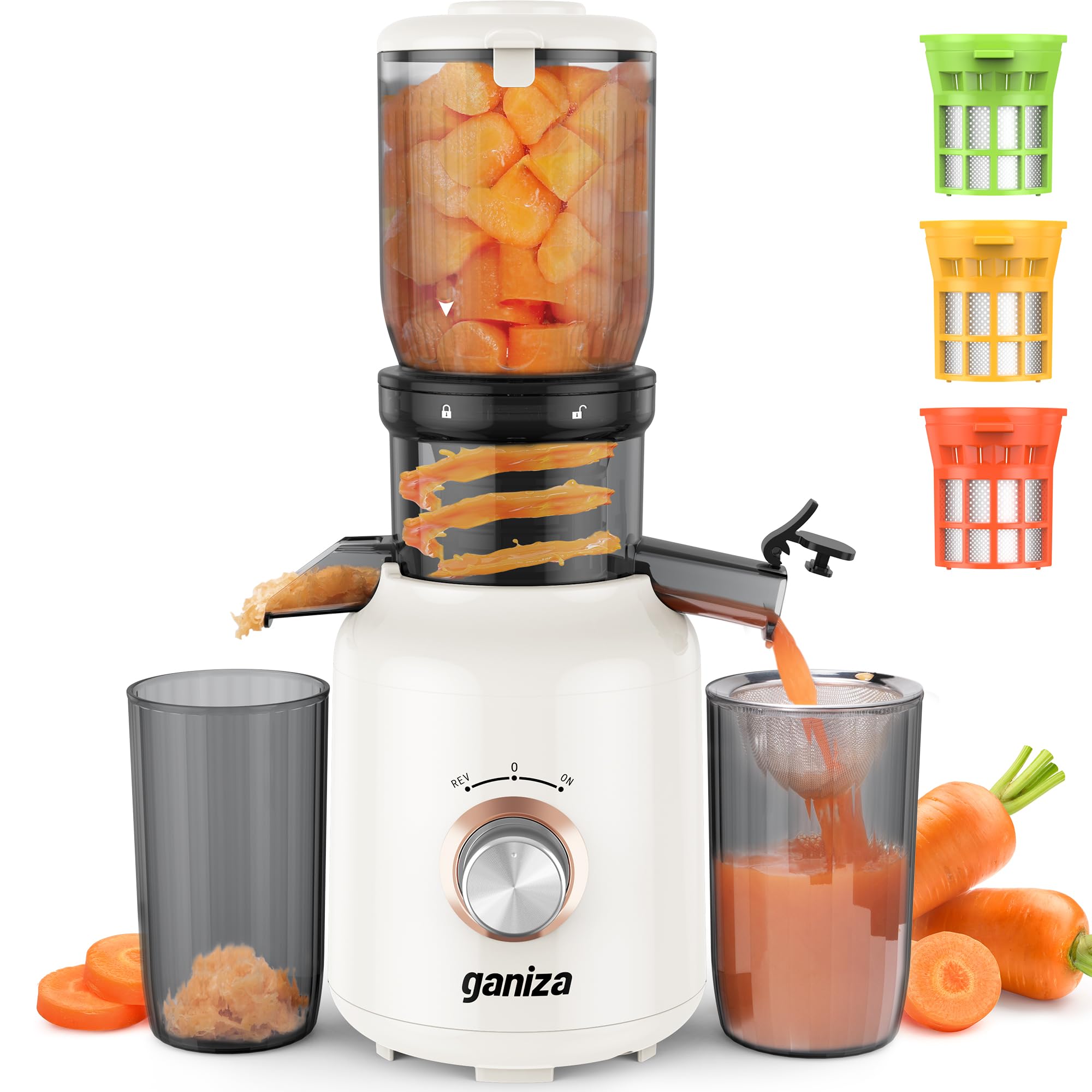 Amazon.com: Ganiza Juicer Machines, Cold Press Juicer with Large