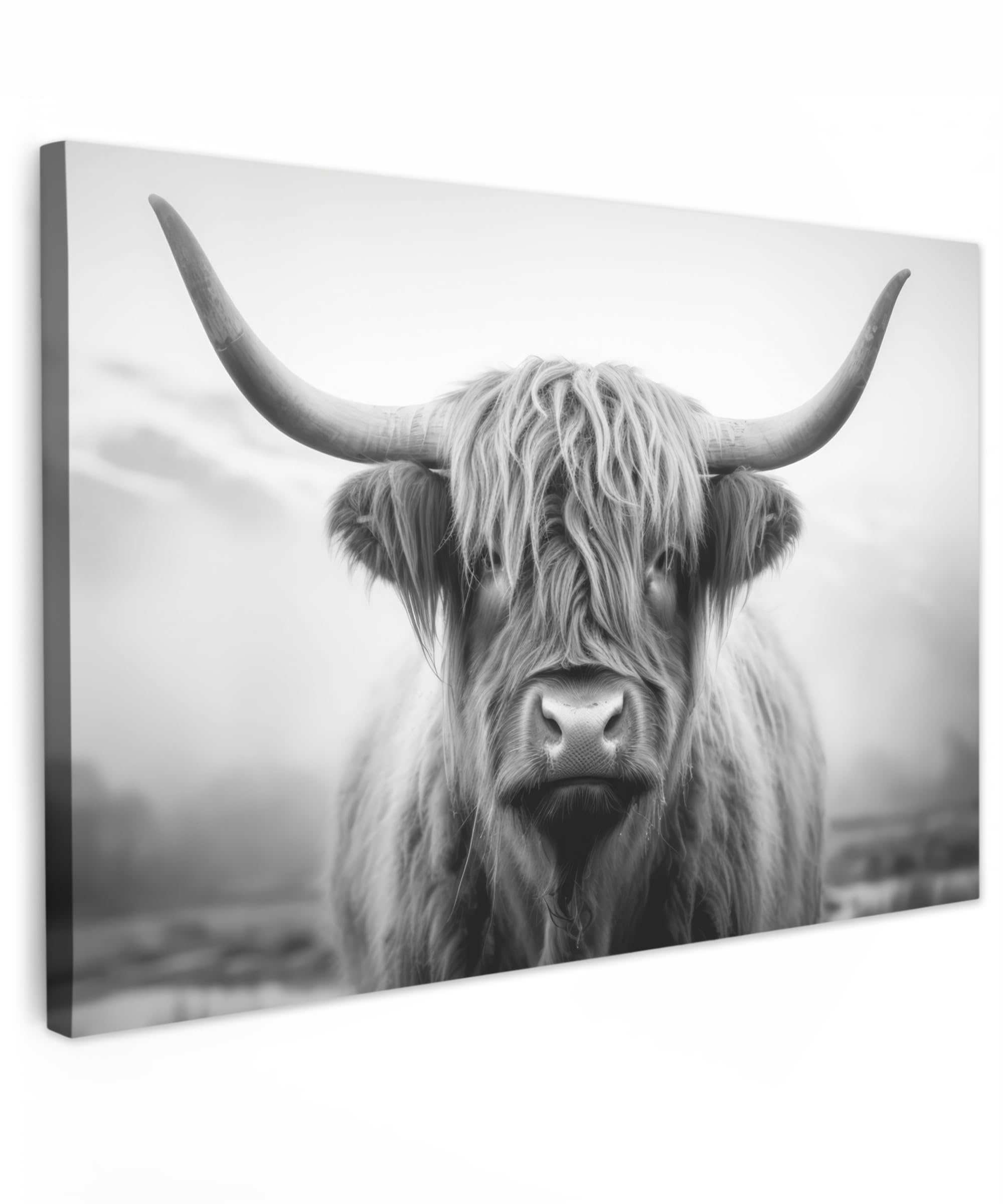 MuchoWow Bild auf Leinwand 120x80 cm XXL Wanddeko Highland Cow Schottisches Hochlandrind
