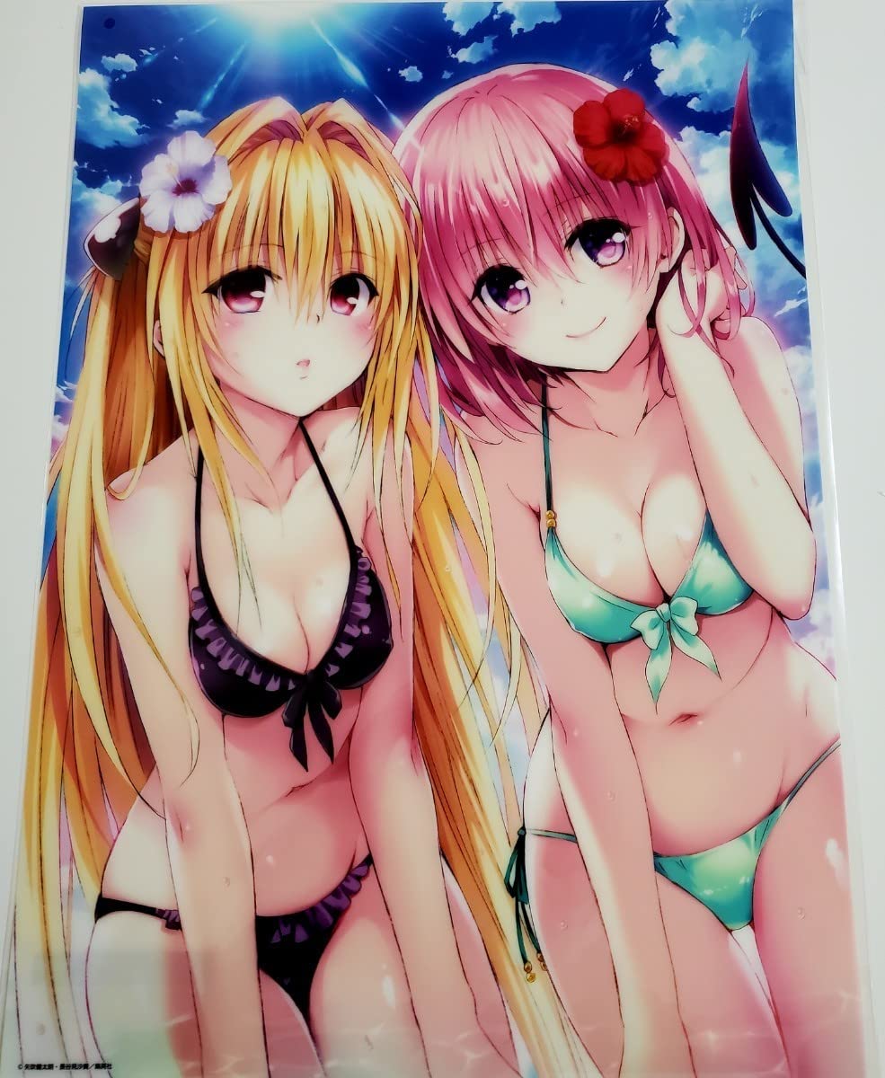 To LOVEる とらぶる クリアポスター ダークネス 矢吹健太朗 Amazon.co.jp: 限定To LOVEる とらぶる 15周年記念原画展 finale