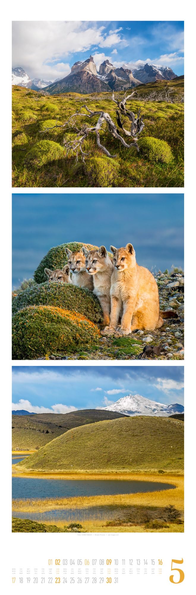 Nature Triplet-Kalender 2027 | Stilvoller Natur-Kalender im schlanken Hochformat (33x100 cm) | Triplet-Fotografie im Premium-Format