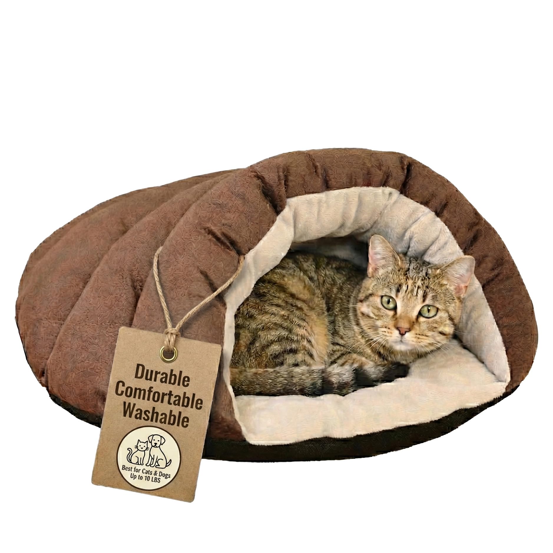 SPOT Sleep Zone Cuddle Cave Pet Bed | Soft, Plush Interior for Cats and Small Dog Breeds | Attractive and Durable Faux Suede Exterior | Machine