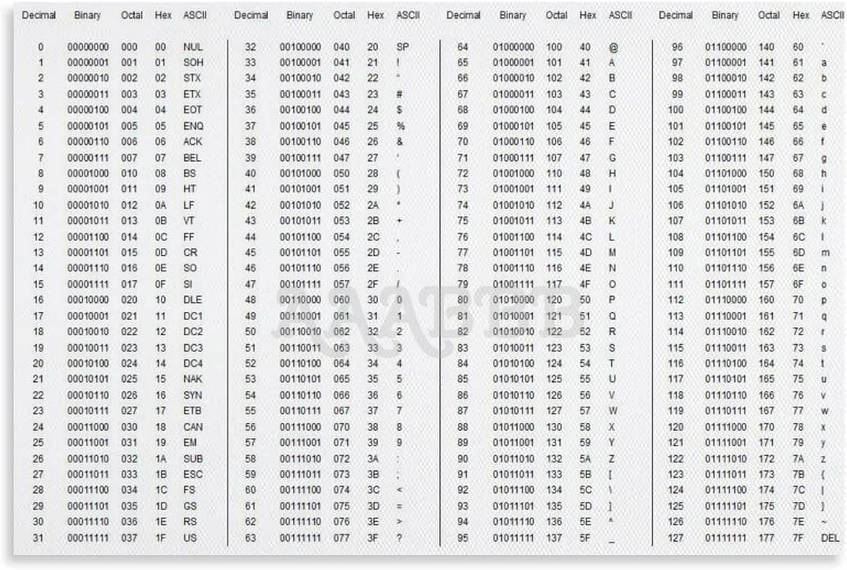 Amazon.com: MJFHERQ Decimal,Binary,Octal,Hex,ASCII Conversion Chart ...