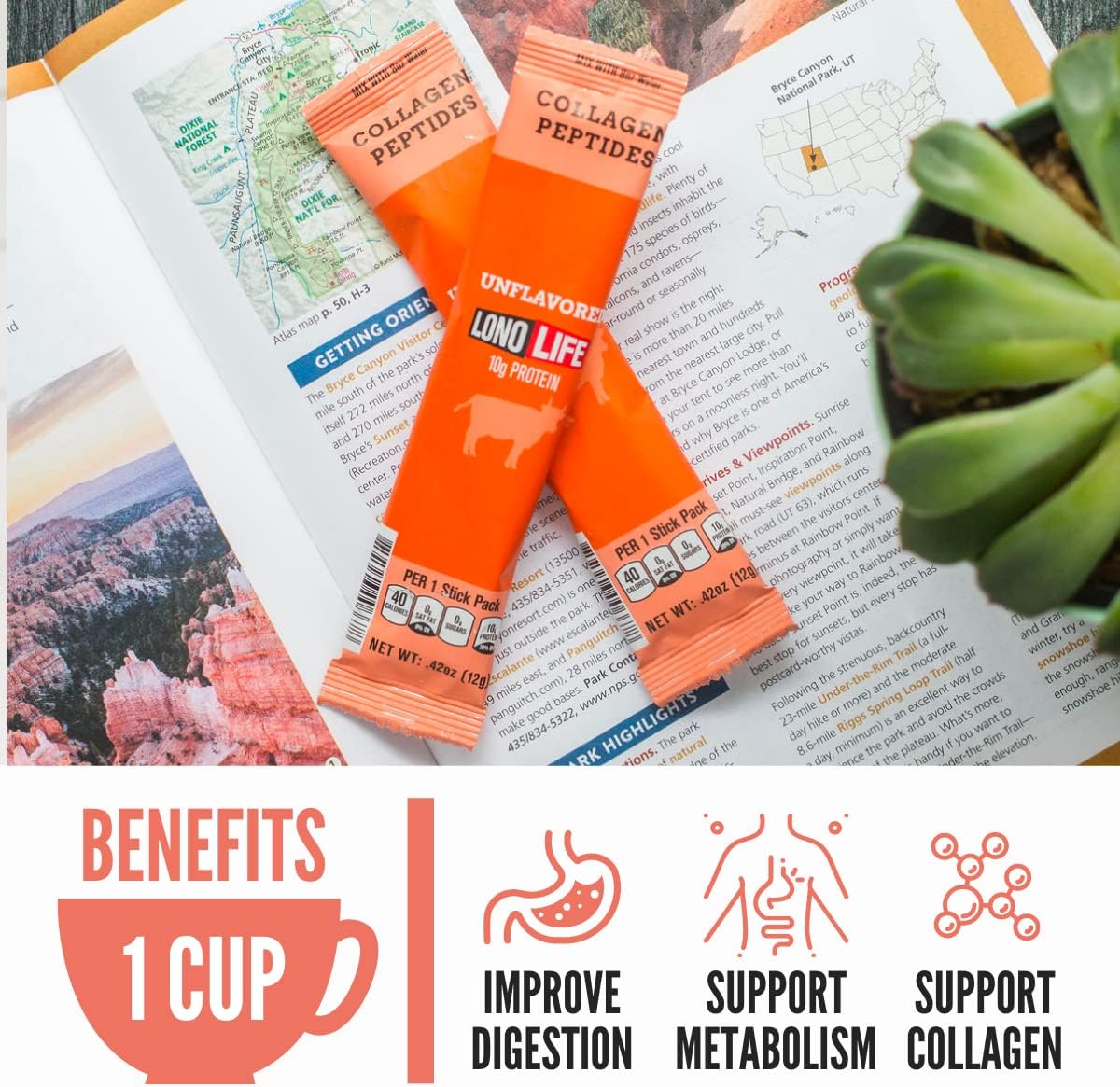 LonoLife - Unflavored Collagen Peptides with 10g Protein, Paleo and Keto Friendly, Portable Individual Packets