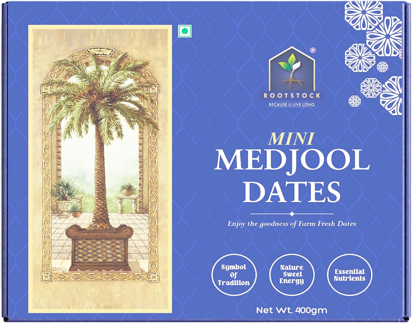 ROOTSTOCK BECAUSE U LIVE LONG Mini Medjool Dates 400gm, Premium Khajoor/Khajur Dates in Fresh, Naturally Sweet and Soft, Rich in Fiber and Antioxidants, Perfect for Snacks and Weight Management