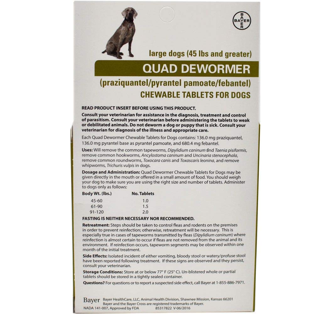 Can Dewormer Make My Dog Sick