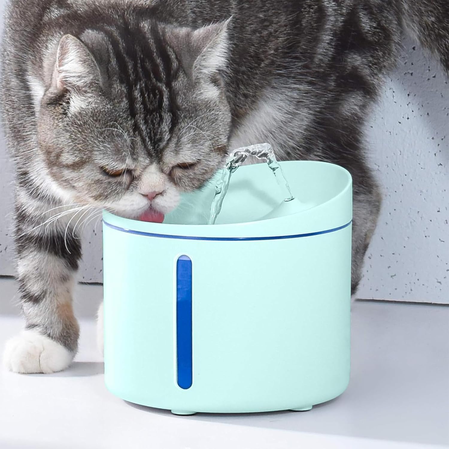 Cat Feeder and Water Dispenser, Automatic Cat Feeder with app and Water Dispenser in Set 2 Packs for Small Medium Pets Puppy Kitten Green
