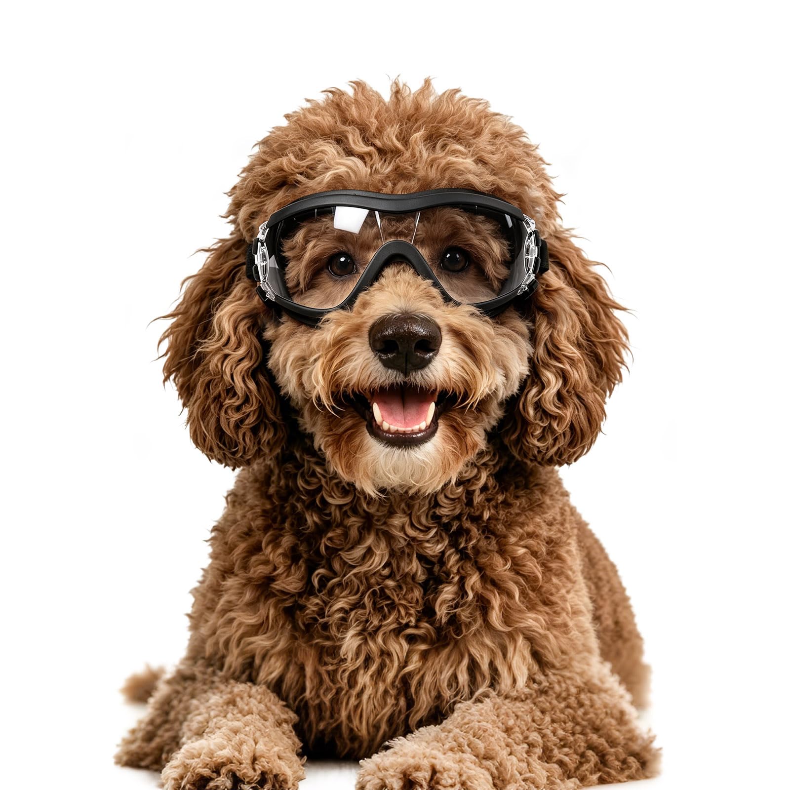 Lunettes de protection chien LESYPET contre le vent et les débris