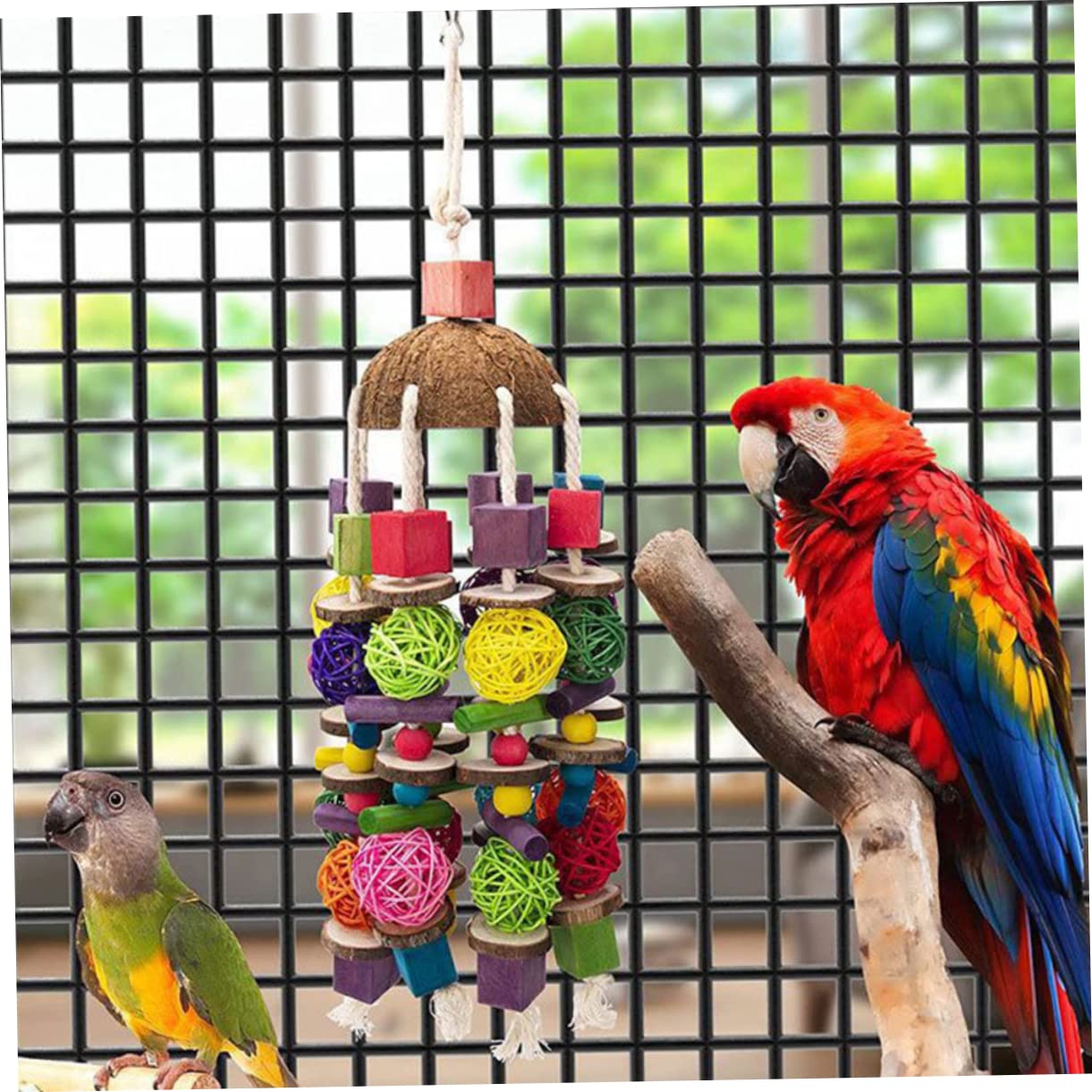 Jouet pour Perroquet Bois Suspendu Accessoire Noix De pour Oiseaux Jouet Jeu pour Cages De Oiseaux