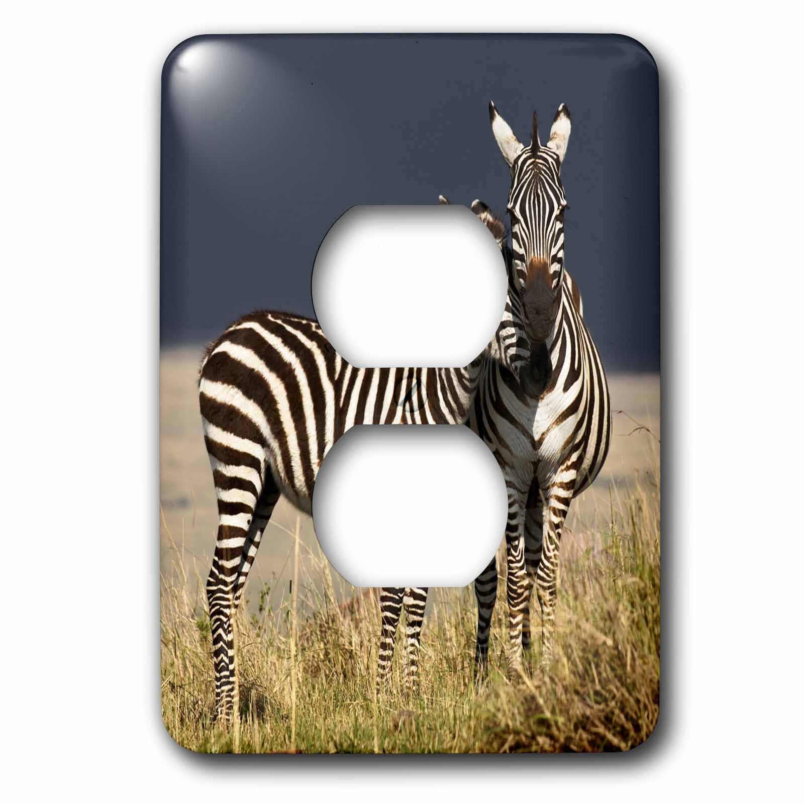 Cache prise 2 prises Burchells Zebra 3dRose lsp_131816_6 Kenya