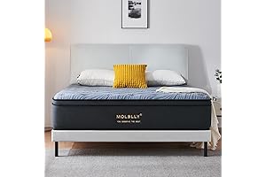 Molblly Queen Size Mattress: 14 Inch Hybrid Queen Mattress in a Box...