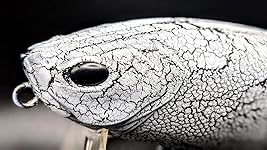 Review Image by Gary H. Gary H.