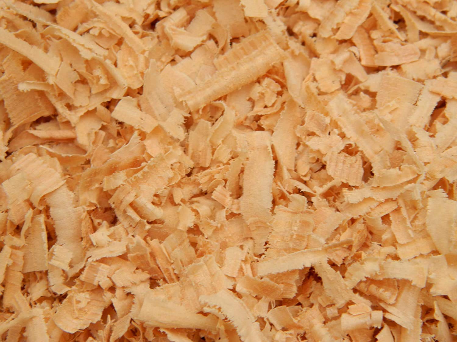Mats Avenue Manually Extracted Wood Shaving Dust Free Yellowish Brown for All Birds,Pet Animals and Reptiles 500 Grams (B08QCZBQV5) Amazon Price History, Amazon Price Tracker