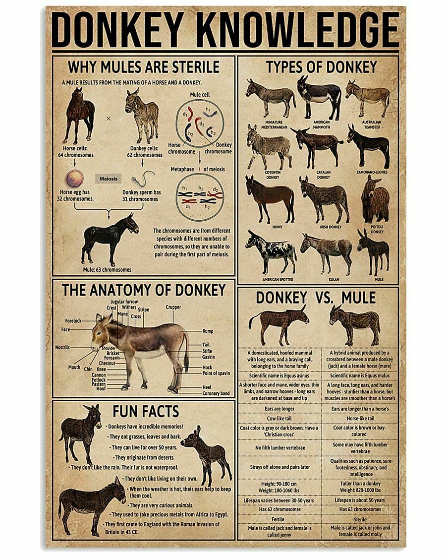 Aperiy Tin Sign015 Donkey Metal Sign - Knowledge Poster, 8X12inch