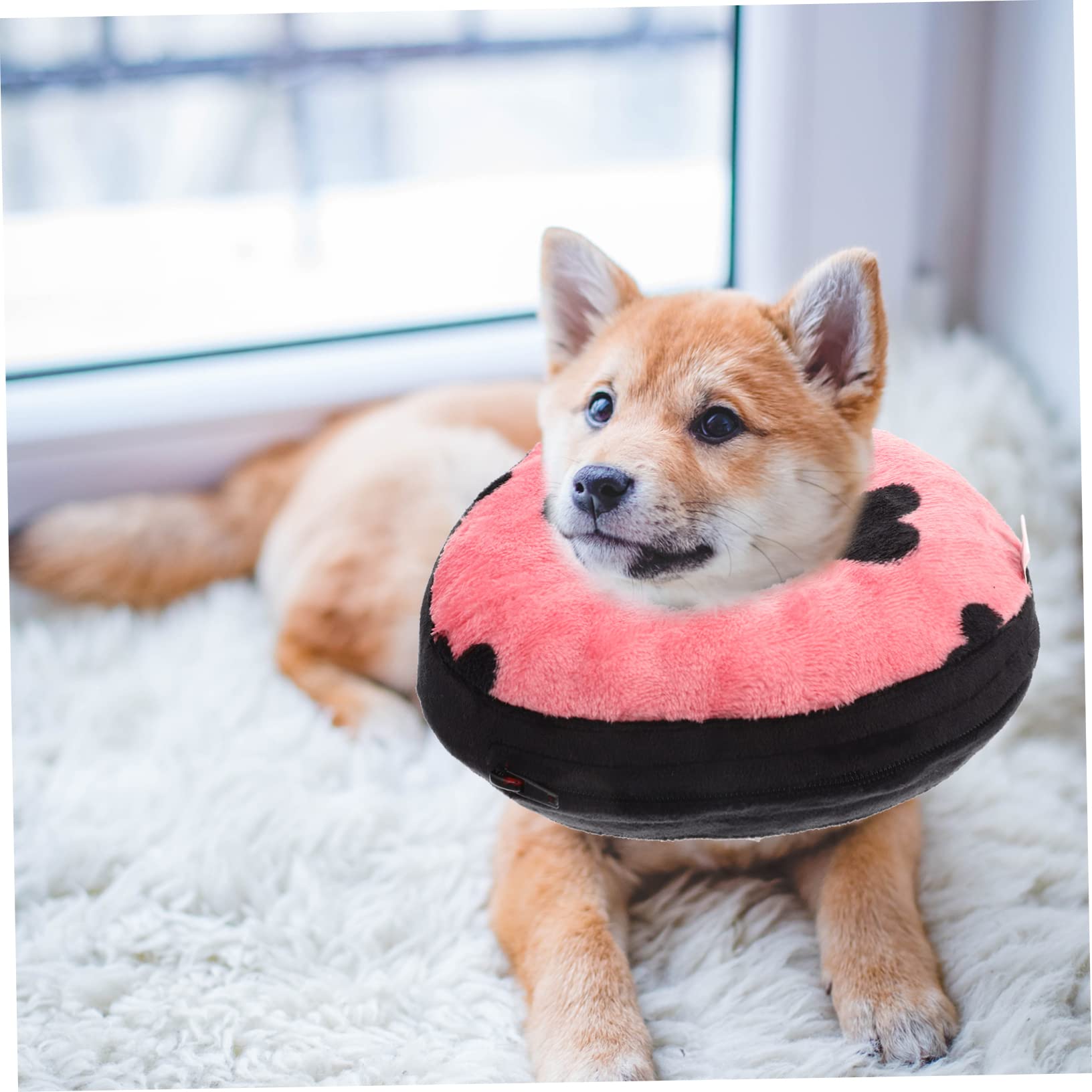Toddmomy 2piezas Collar Inflable De para Mascotas Collar Protector para Gatos y Perros Accesorio De Post- Previene Rasguños y Mordeduras Comodidad y Portabilidad