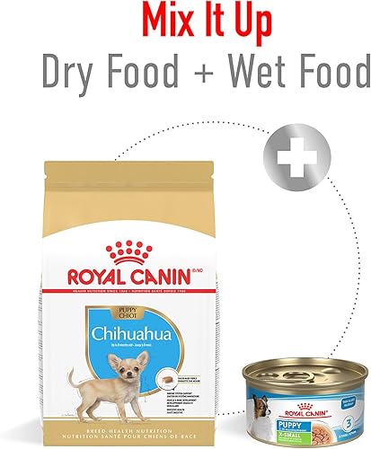 Miniatura 7 de Royal Canin Breed Health Nutrition - Alimento seco para perros chihuahua 25 libras