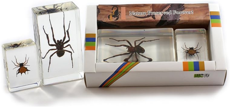 REALBUG Spider Collection 2 pc Set