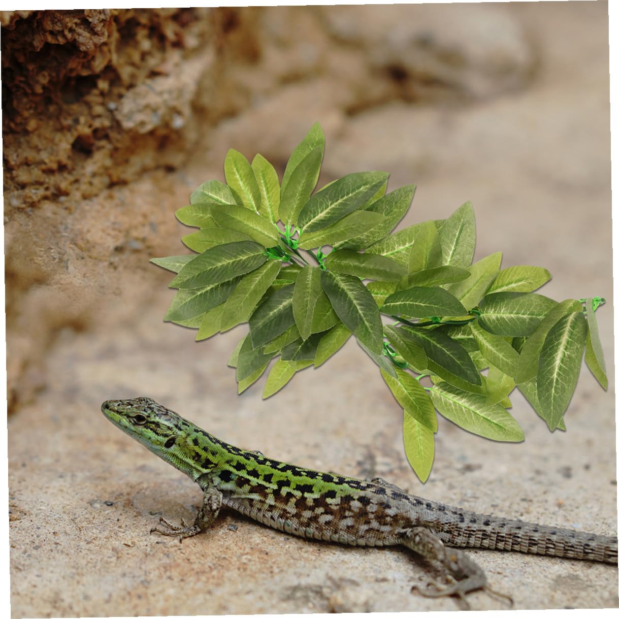 DECHOUS 6 Stück Künstliche Reptilienpflanzen aus Kunststoff Kletterpflanzen für Terrarien Hängende Terrarienpflanzen in Grün Pflegeleichte Dekoration für Leopardgecko Reptilienterrarien