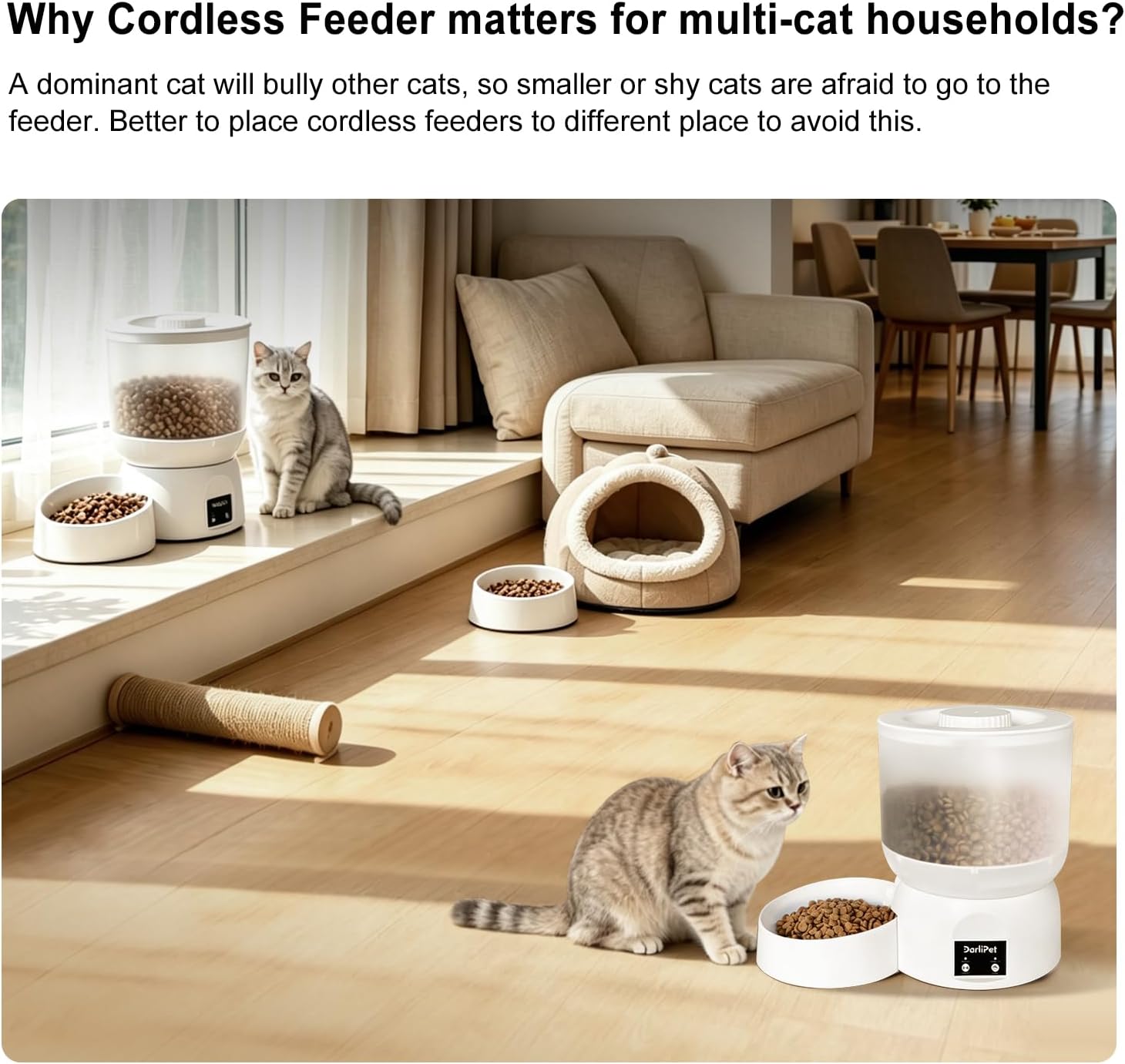 Best Automatic Cat Feeder With 270-Day Battery Life, Rechargeable... 2026