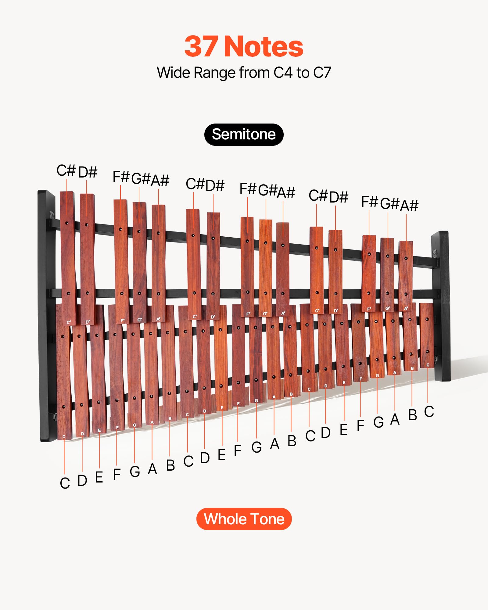 VEVOR Glockenspiel Diatonico Xilofono, 37 Note, Strumento a Percussione Professionale in Legno, con Supporto Regolabile in Altezza 4 Bacchette, Borsa per Trasporto, per Insegnamento Musicale