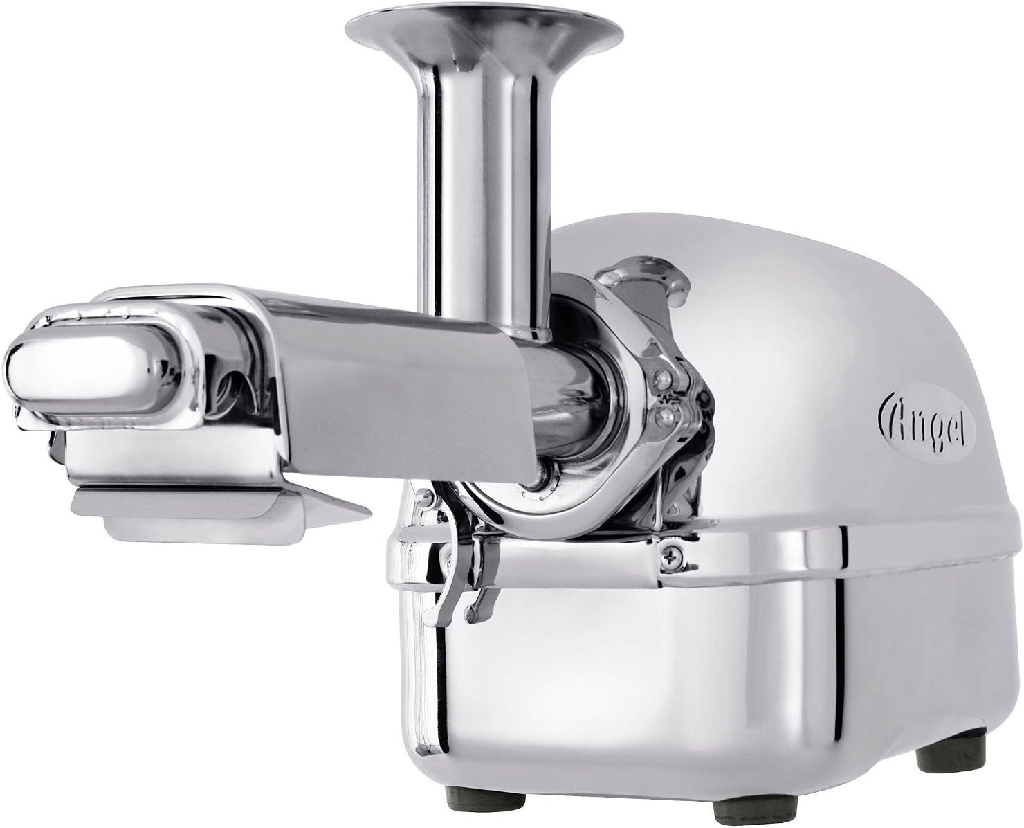 Angel 5500 Twin Gear Juicer