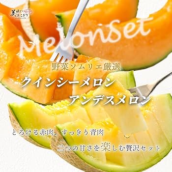 アンデスメロン ‼️プロフ必読‼️  父の日ギフト専用】アンデスメロン1玉 3780円 | 大進オンライン
