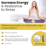 Ashwagandha Supplement 3000 mg and L-theanine 100 mg Per Capsule | High Potency 10:1 Extract, Expert Formulated | Resistance to Stress, Promote Relaxation, Energy, Memory Enhancement, Sleep Aid & Rejuvenative Tonic | Proudly Canadian | No Additives (