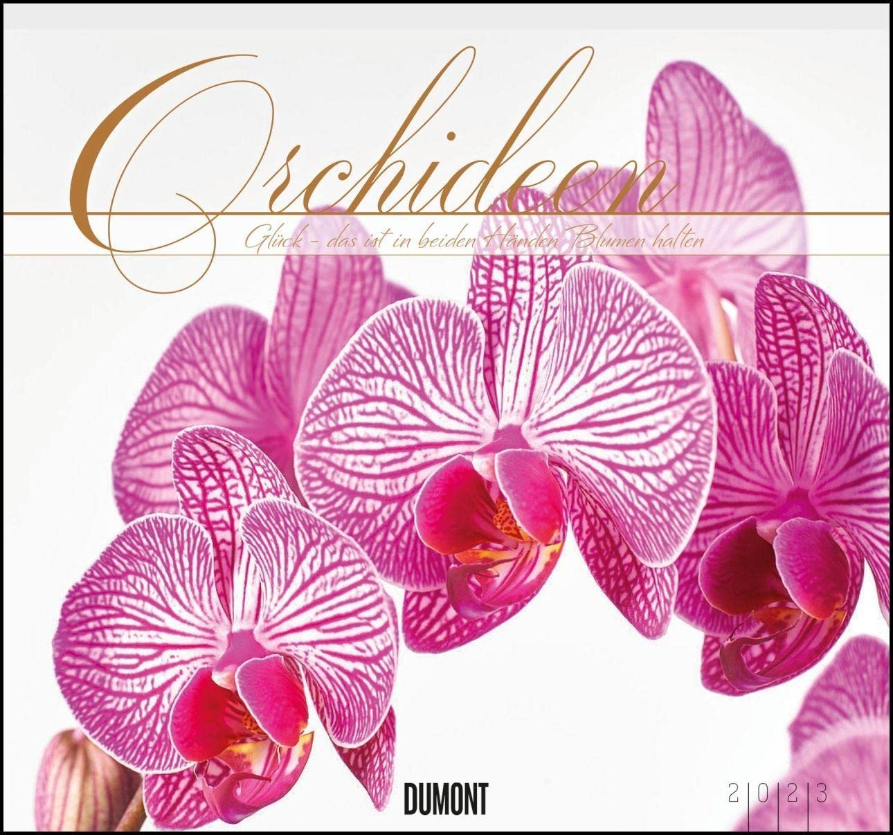 Orchids 2023 - Dumont Wall Calendar - with the Most Important Holidays - Format 38.0 x 35.5 cm