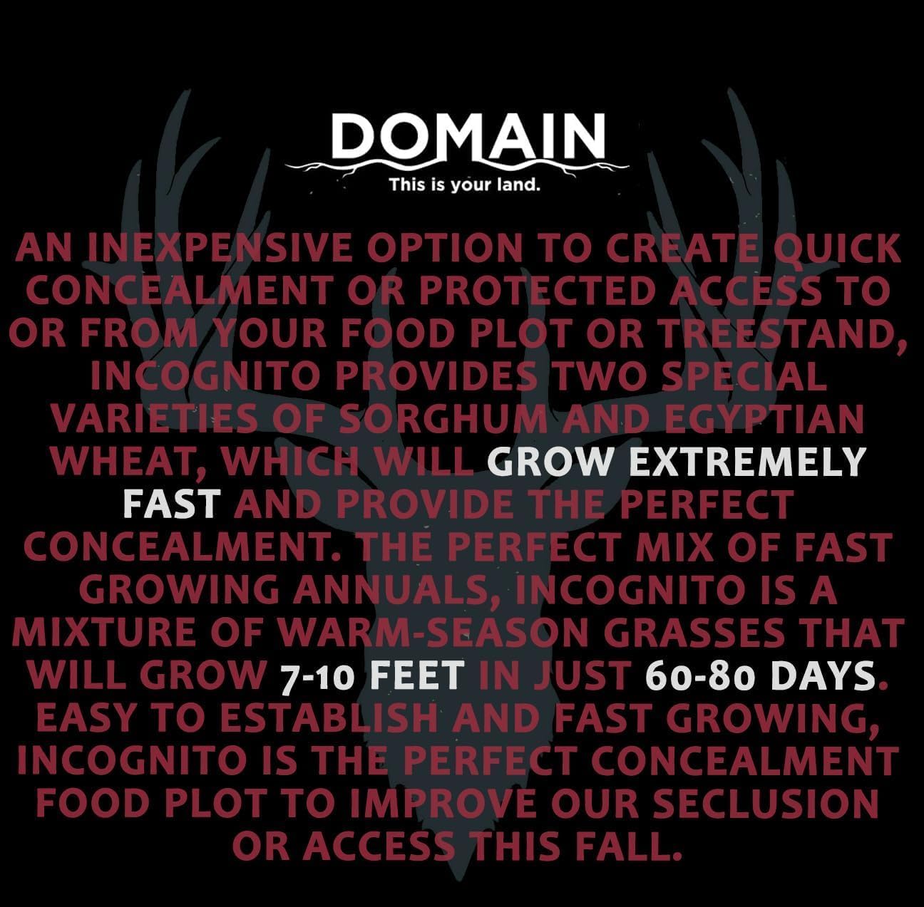 Domain Outdoor Incognito Deer Plot Seed, 2 Acre, Create Concealment to and from Stand or Plot, Designed to Grow Tall and Withstand Elements, Fast Growing