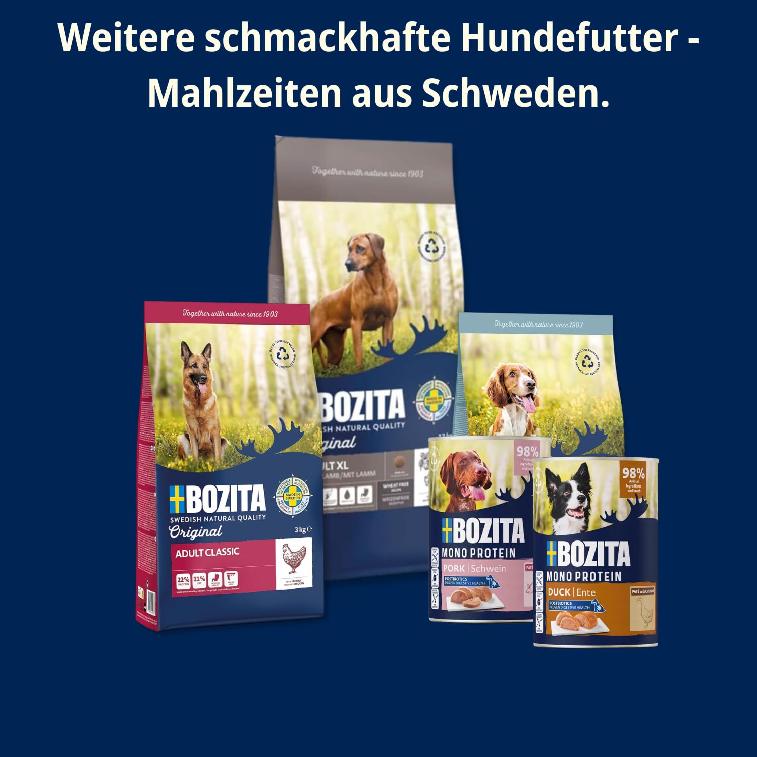 Bozita Dog Paté wołowina z postbiotykami 6 x 400 g – karma dla psów pojedyncze białko – pełnowartościowa, intensywna smak, bezzbożowa mokra karma, w formie kawałkowego pasztetu dla psa