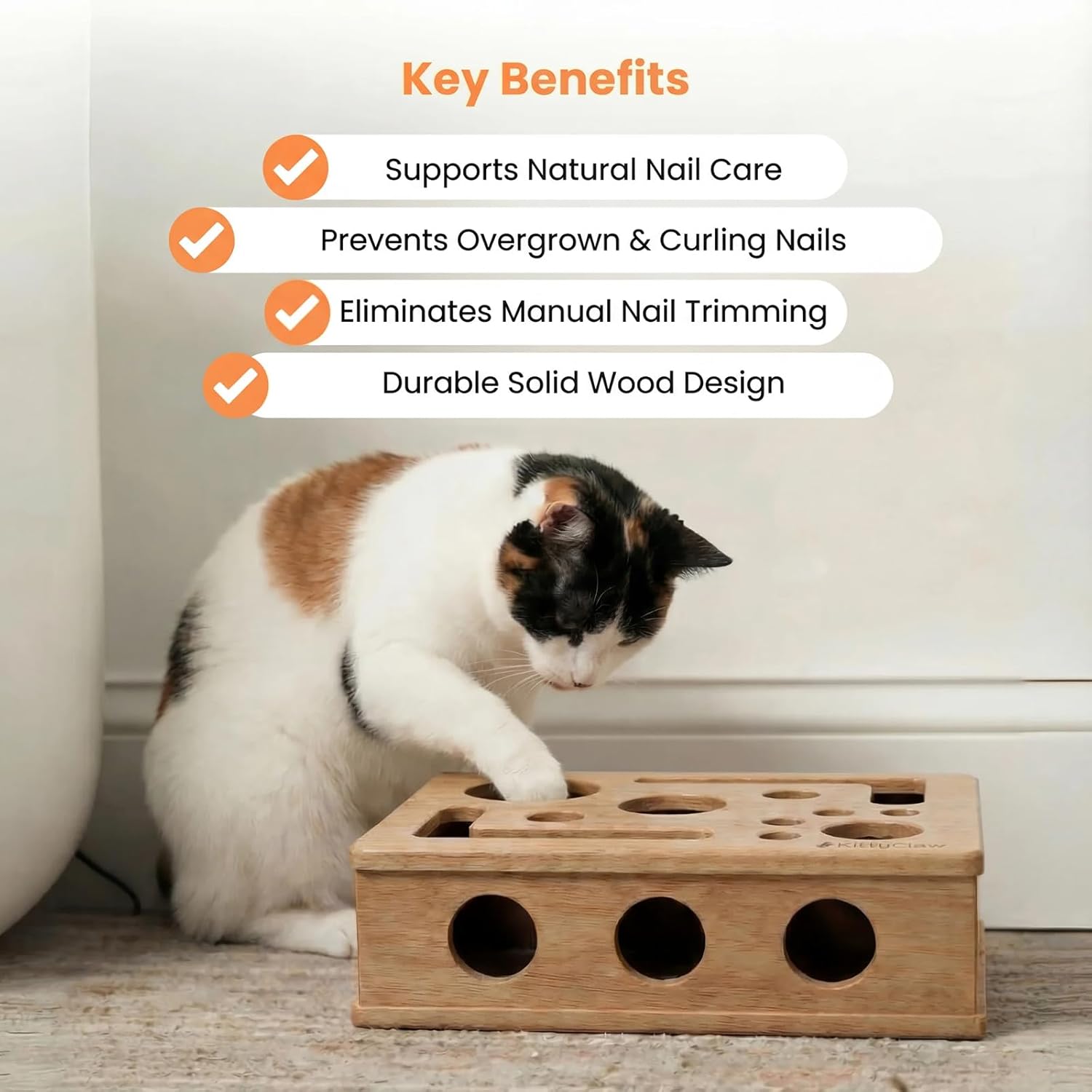 The Kittyclaw Nail Care Kit, Cat Scratch Puzzle Enrichment Box, Cat File Scratcher, Cat Nail File Box, Nail File Stress Free Alternative to Clippers and Grinders, Claw Craft for Cats (2pcs)