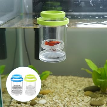 Sea Monkeys Small Fish Tank, Betta Fish Tank with Breeding Box, Plastic Fish Tank for Shrimp Tank Setup, Aquarium Hatchery Bucket in Blue and Green