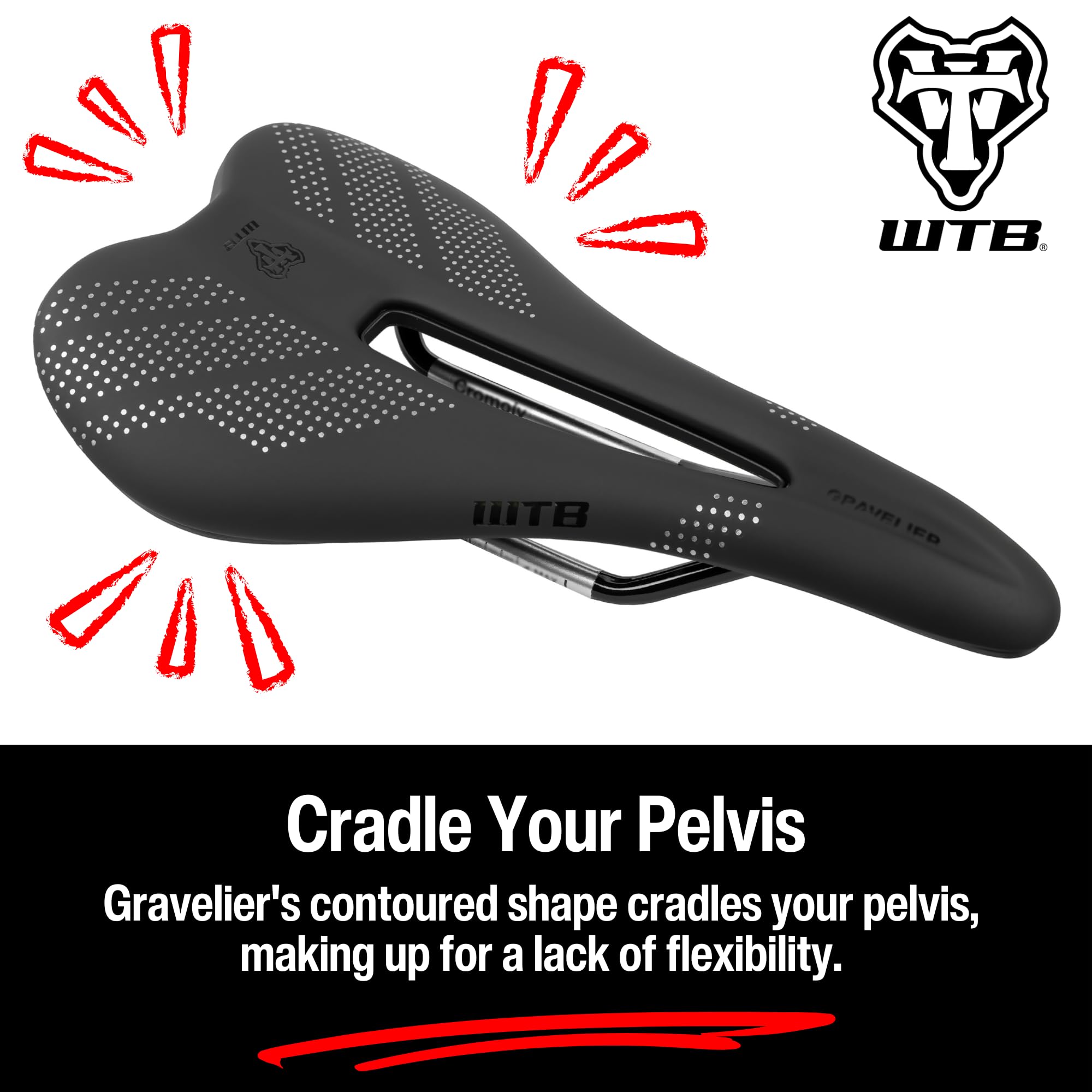 Amazon | WTB グラベリアバイクサドル – 246 x 140mm、フュージョン