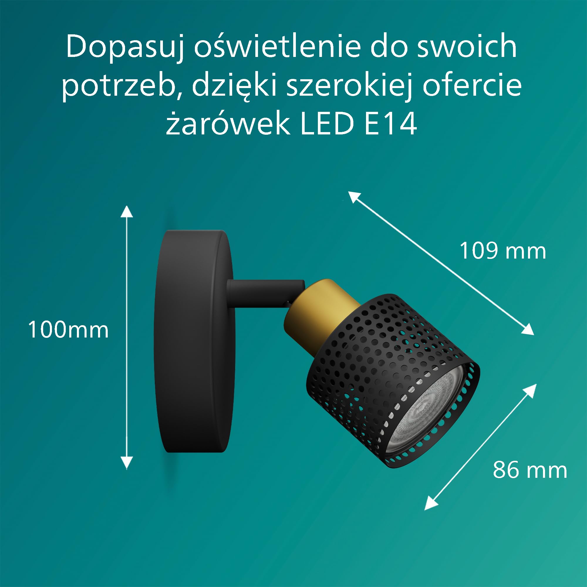 Philips Niall Spot 1 głowica GU10 nie wchodzi w zakres dostawy, mosiądz, IP20