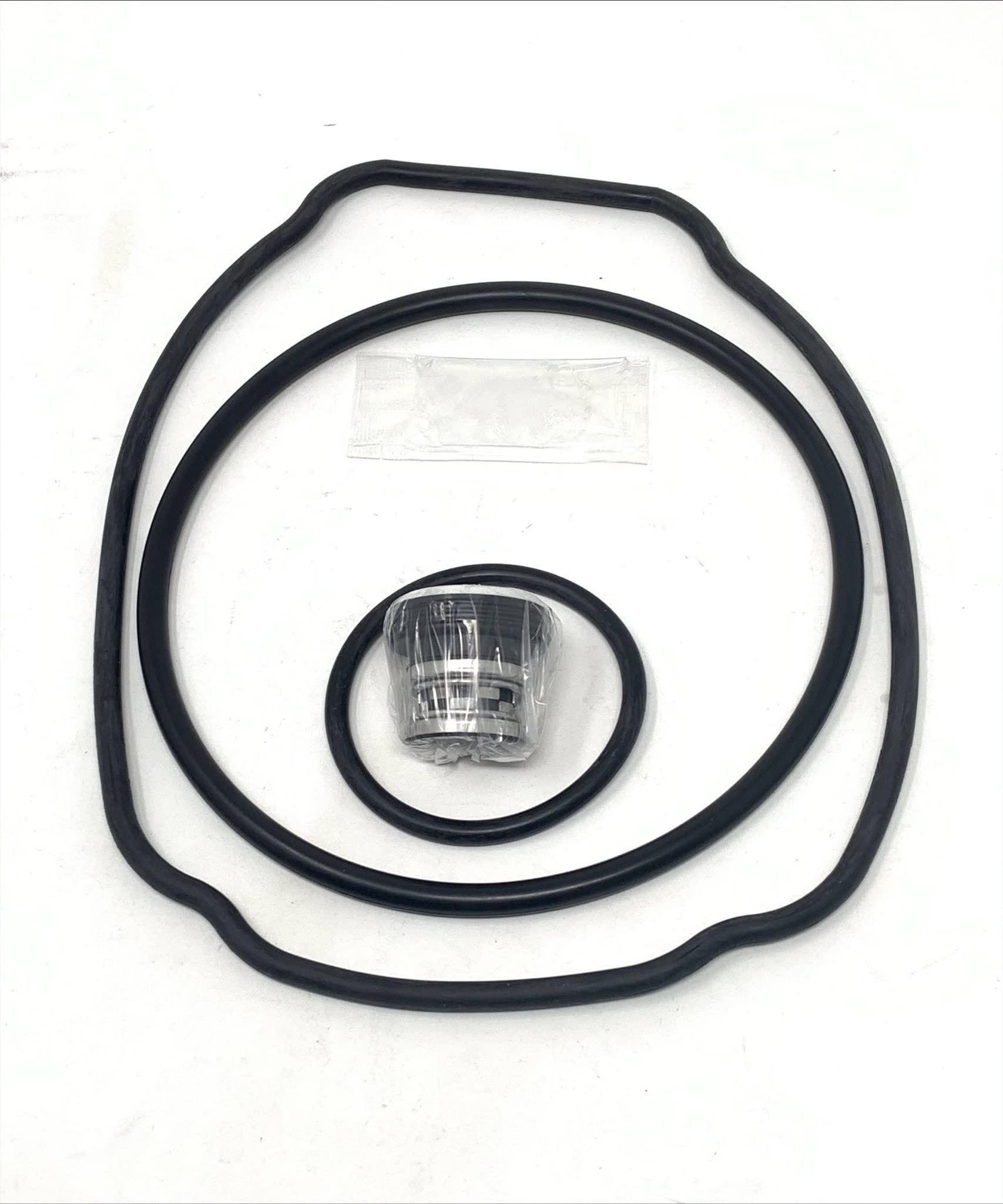 CarjoSoutheastern Accessory O-Ring Seal Repair Kit for Hayward® Tristar/Ecostar Pumps SPXHKIT100 Kit-80 - Hayward® Tristar VS & Ecostar VS Pump Repair Parts