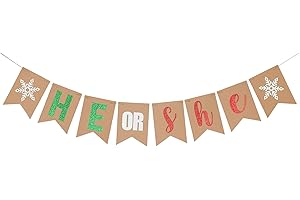 Christmas He Or She Banner
