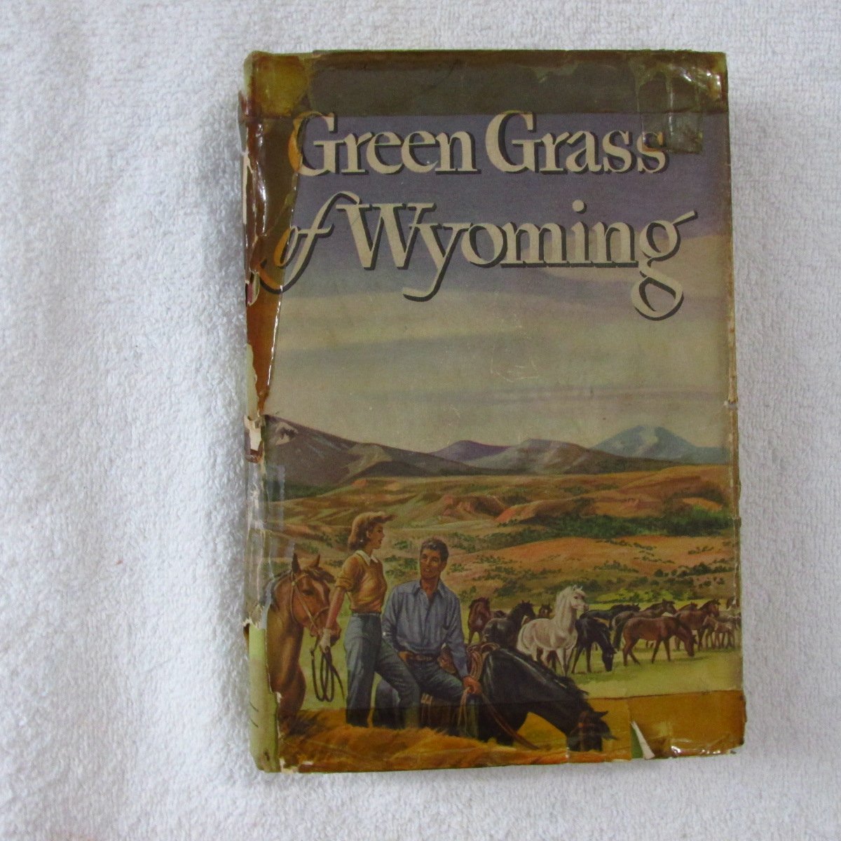 Green Grass of Wyoming O'Hara, Mary Books