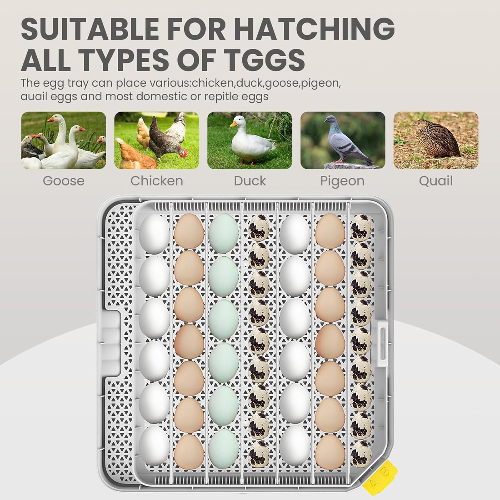 Incubadora de huevos de giro automático con control de temperatura y humedad para 48 huevos, dispositivo de incubación para aves de corral, palomas y aves de caza con alarma de vela de huevo